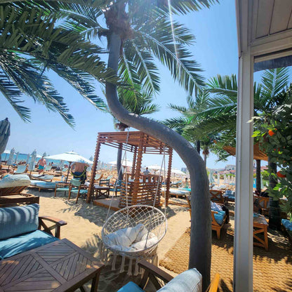 Luxury Beach Dolphin