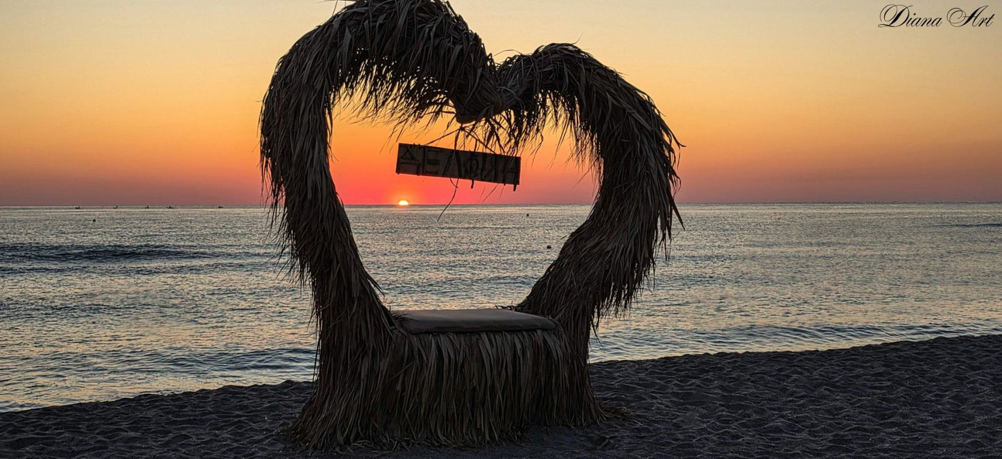 Luxury Beach Dolphin