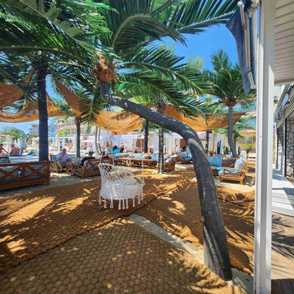 Luxury Beach Dolphin