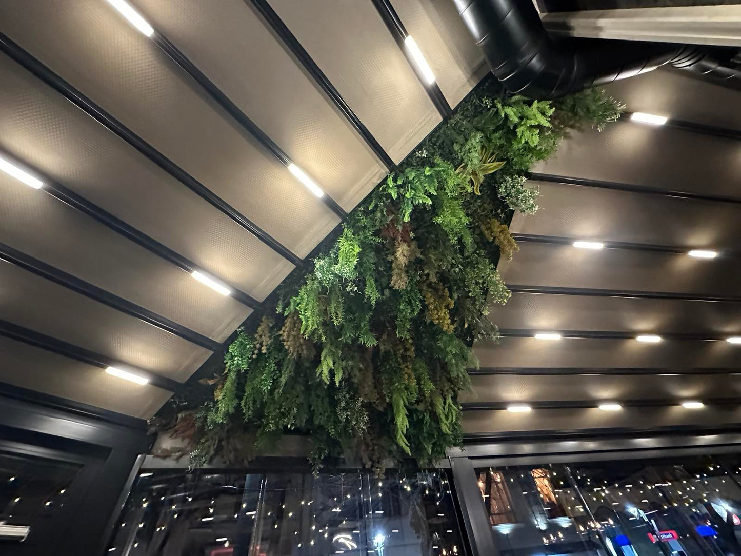 Кафе бар "Папагала"