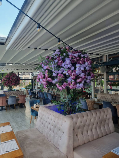 Хотел Apolonia Resort