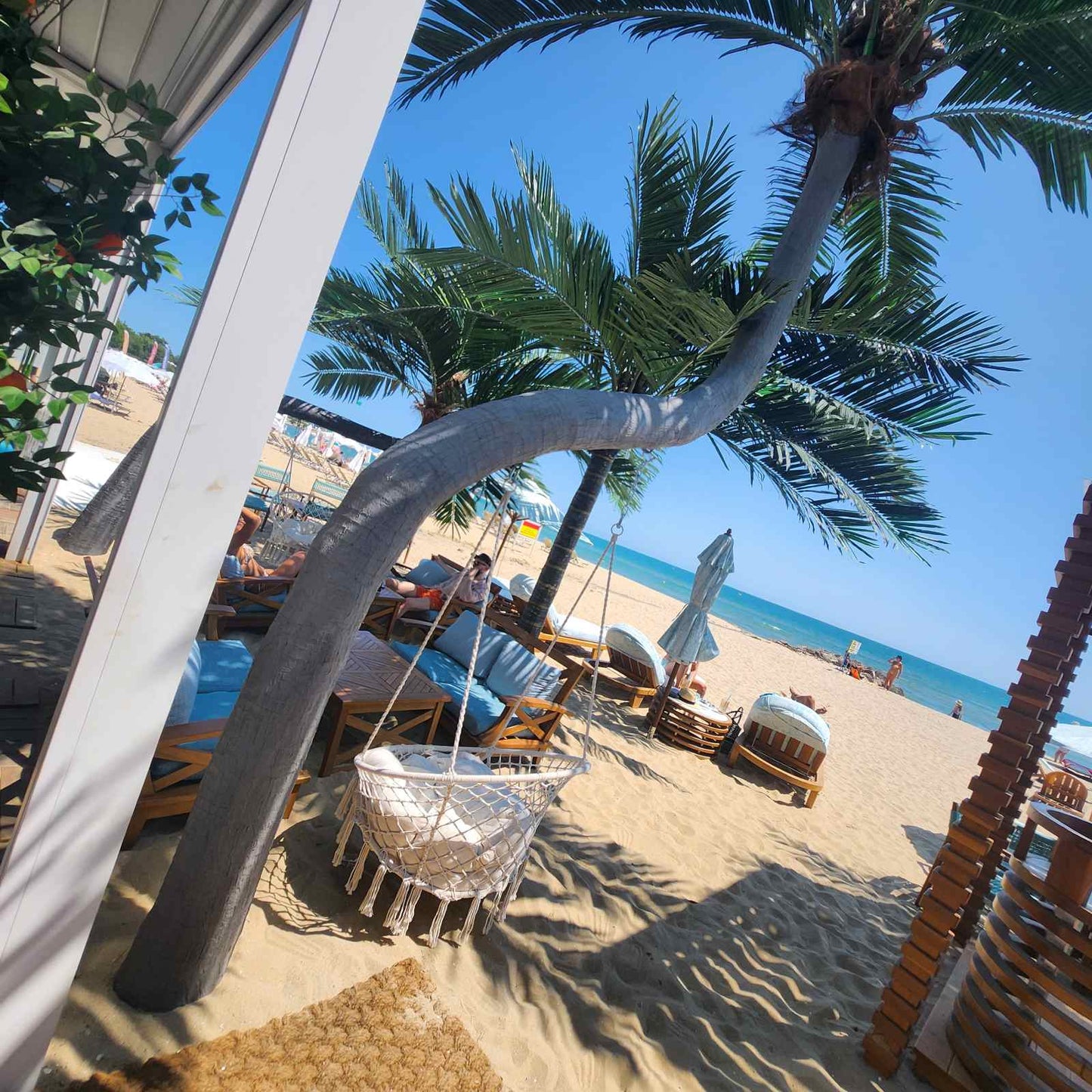 Luxury Beach Dolphin