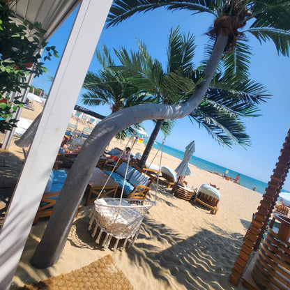 Luxury Beach Dolphin