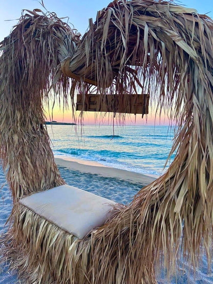 Luxury Beach Dolphin