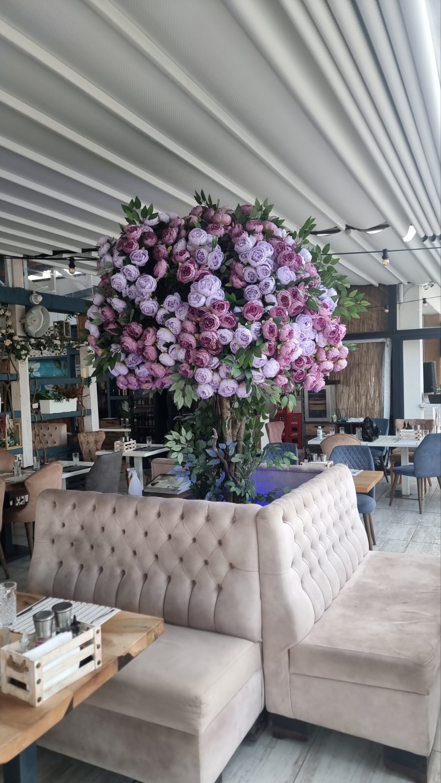 Хотел Apolonia Resort