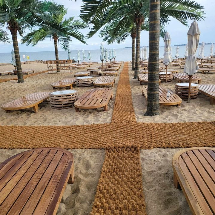 Luxury Beach Dolphin