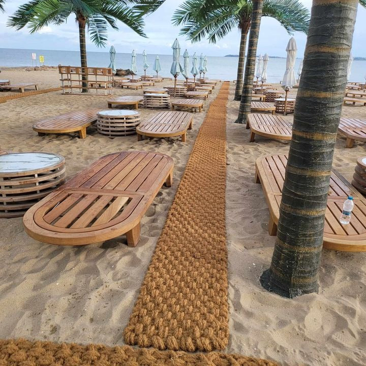 Luxury Beach Dolphin