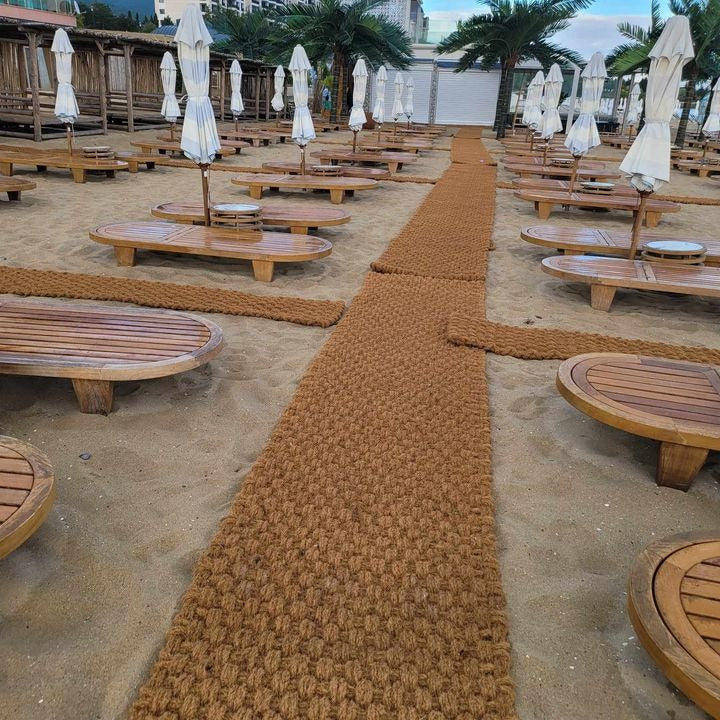 Luxury Beach Dolphin