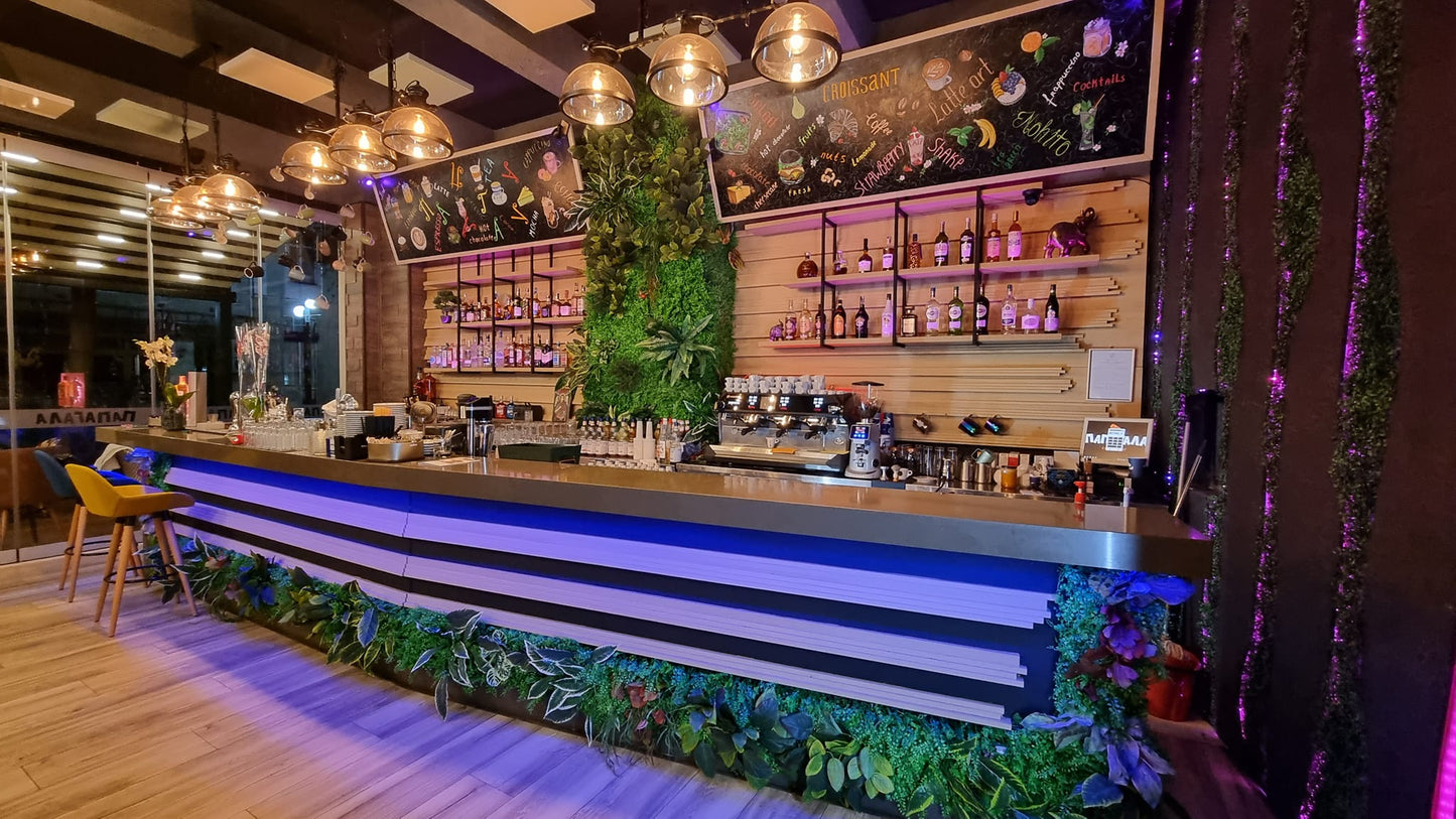 Кафе бар "Папагала"