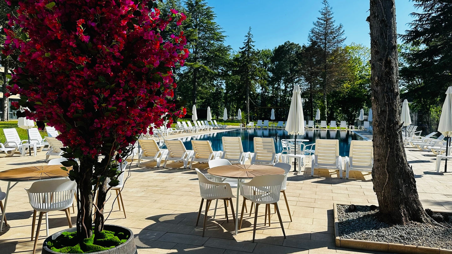 Хотел Queen Nelly Park