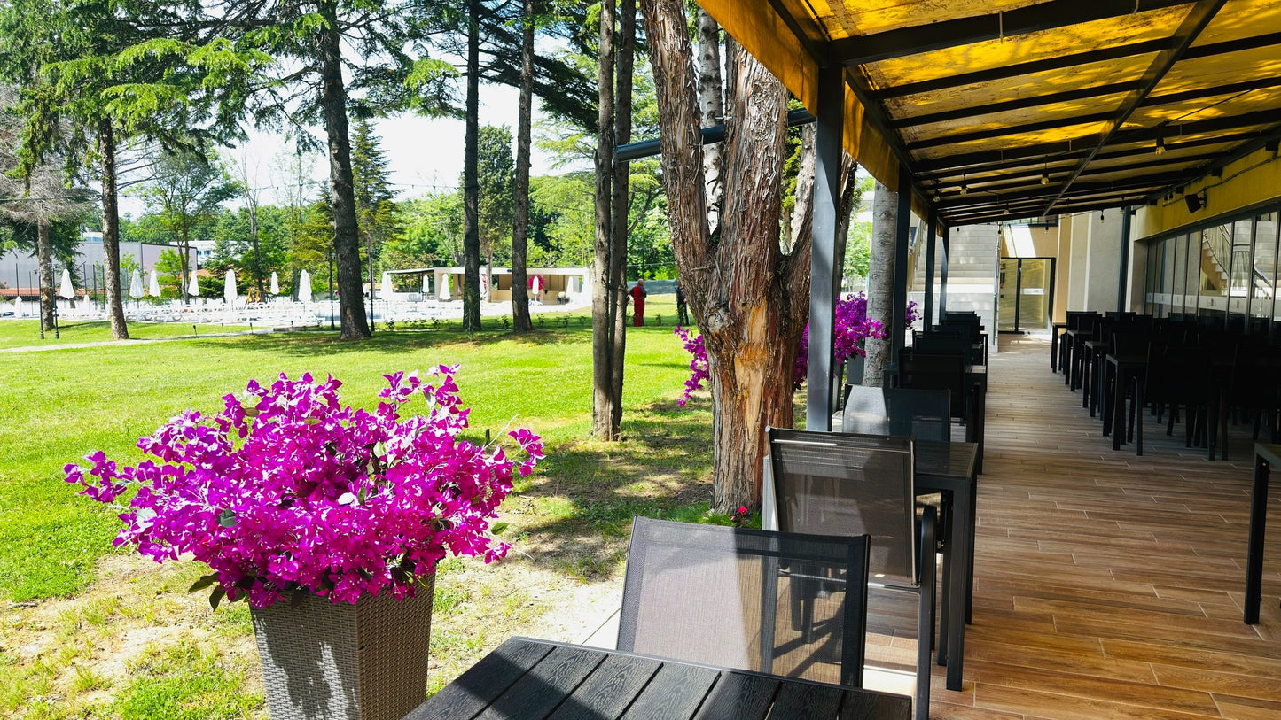 Хотел Queen Nelly Park