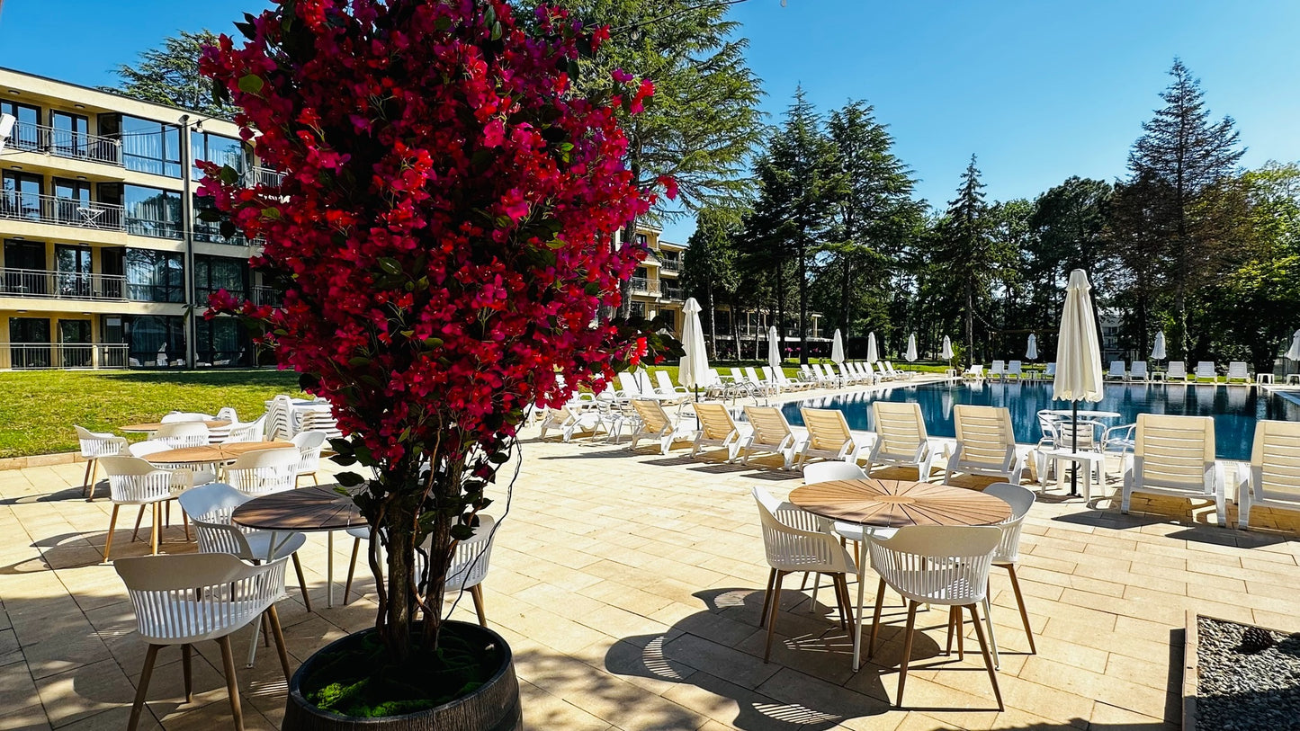 Хотел Queen Nelly Park