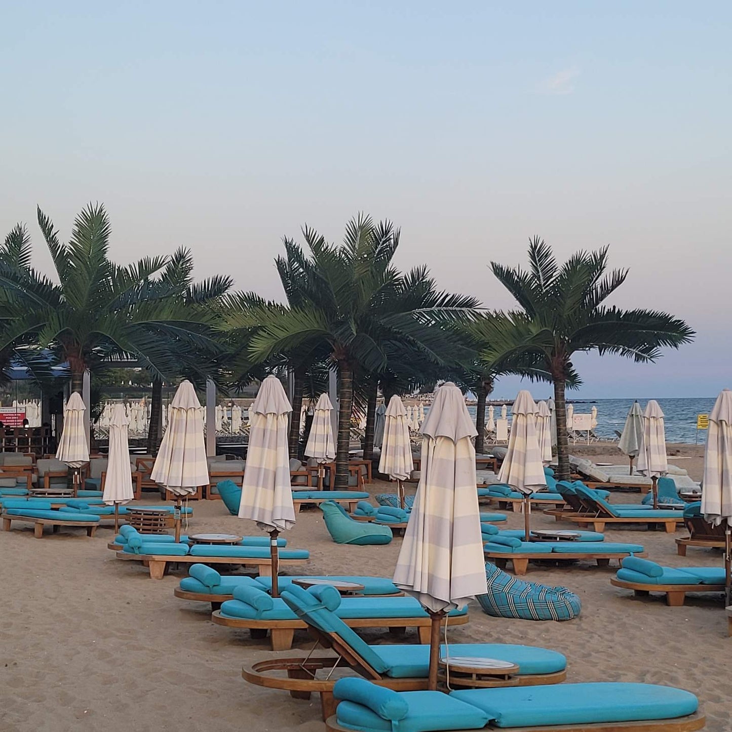 Luxury Beach Dolphin