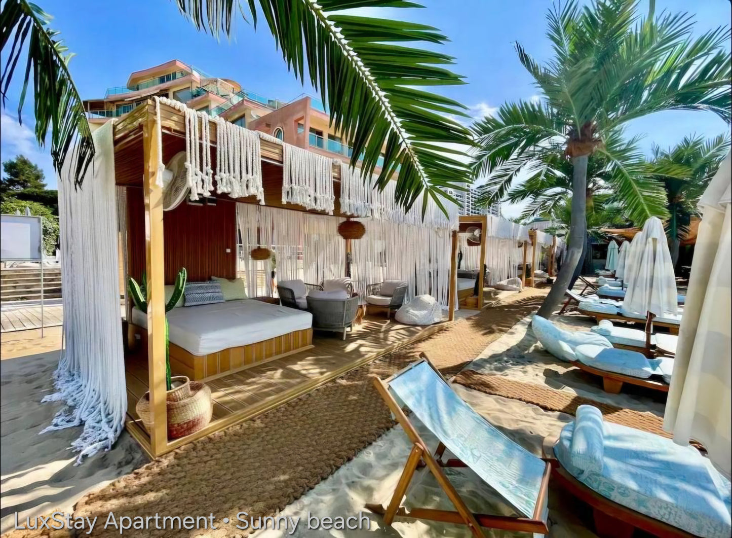 Luxury Beach Dolphin