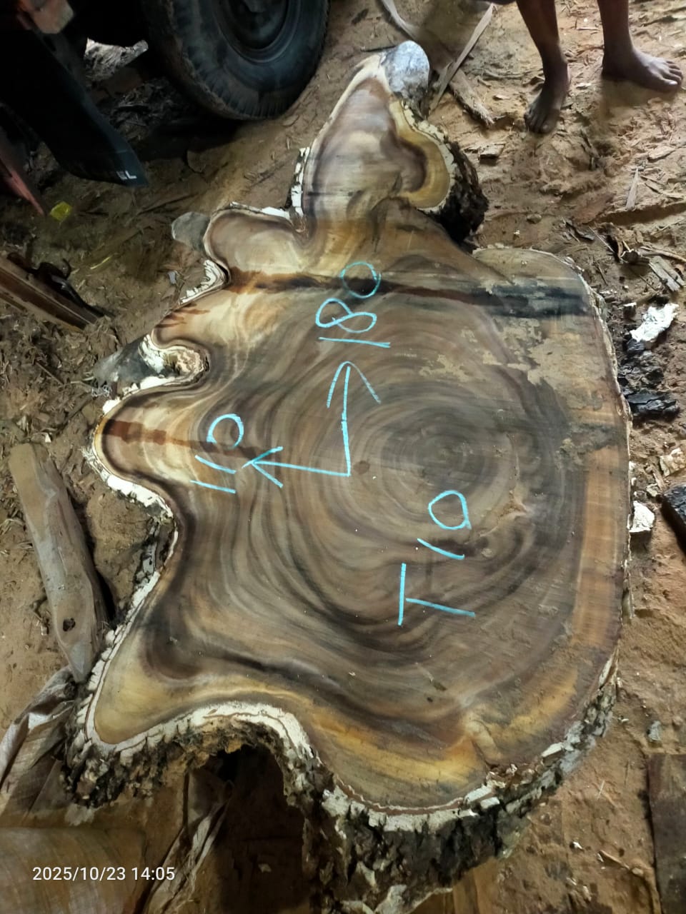 Дървена талпа от индунезийски Суар IS0016