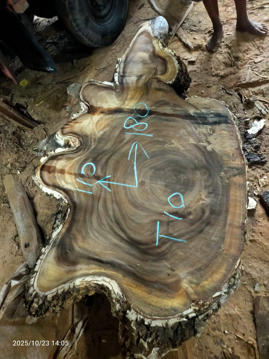 Дървена талпа от индунезийски Суар IS0016