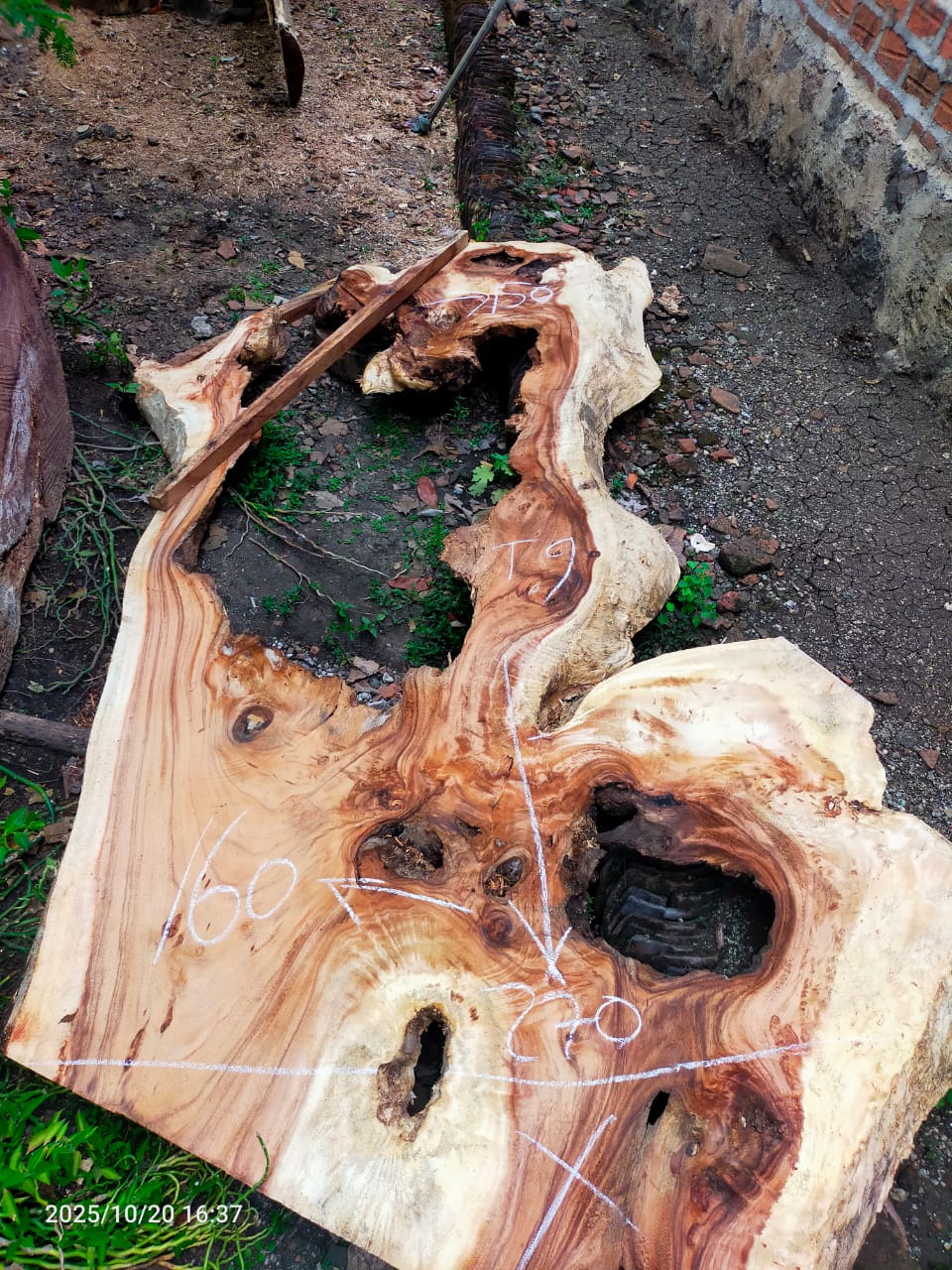 Дървена талпа от индунезийски Суар IS0021