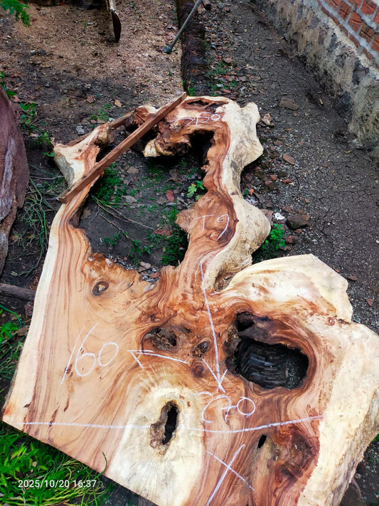 Дървена талпа от индунезийски Суар IS0021