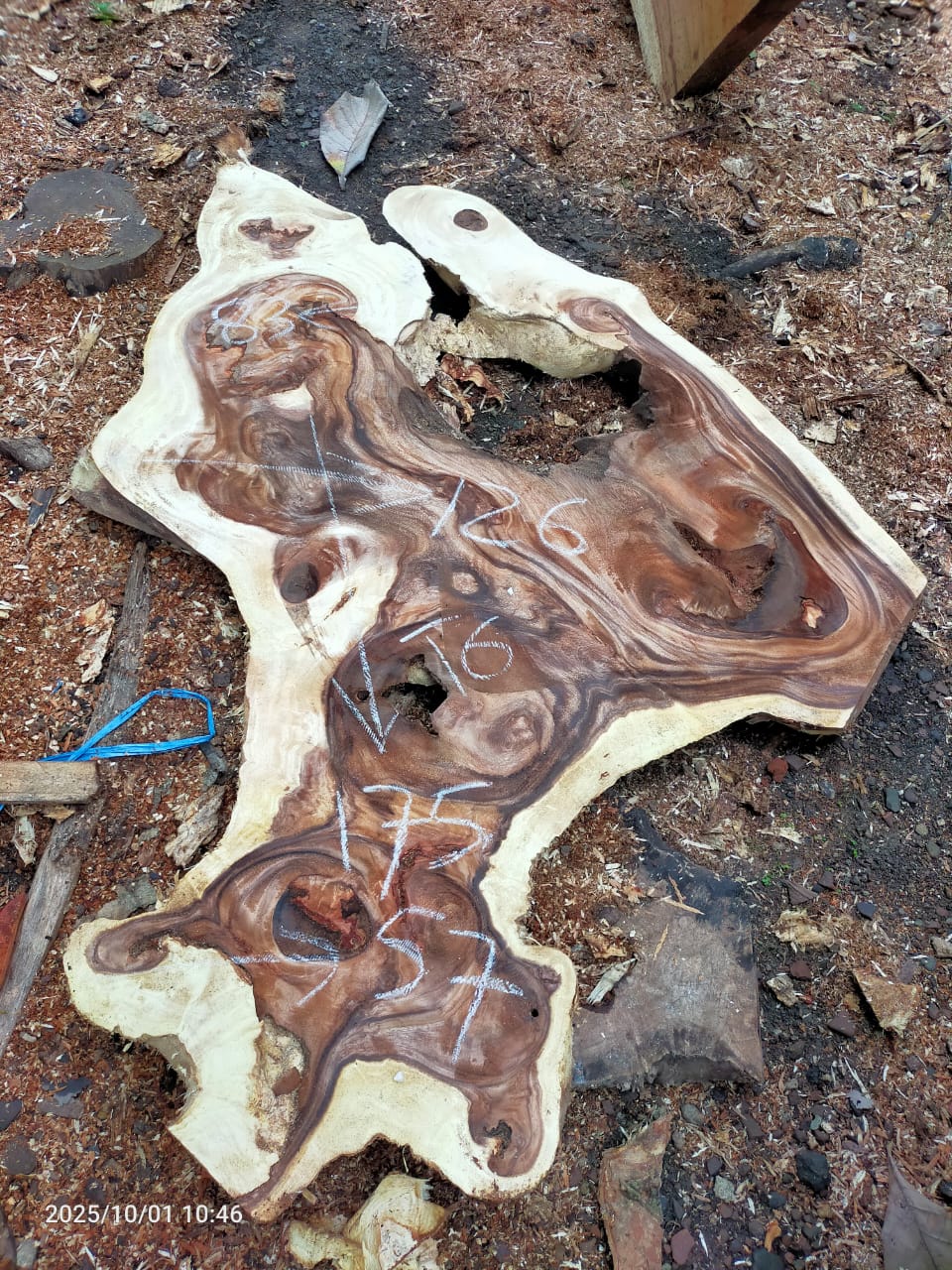 Дървена талпа от индунезийски Суар IS0023