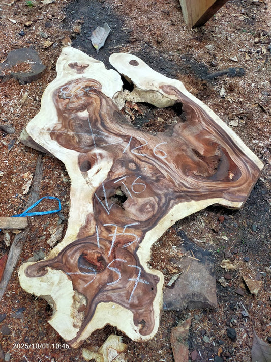 Дървена талпа от индунезийски Суар IS0023