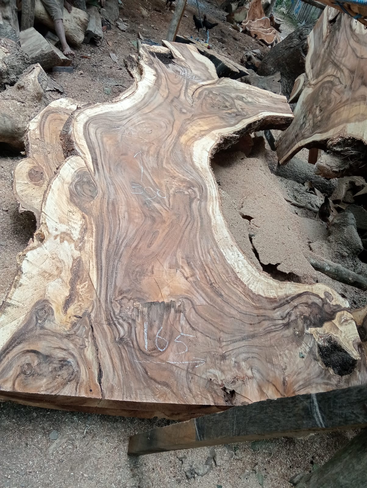 Дървена талпа от индунезийски Суар IS0026