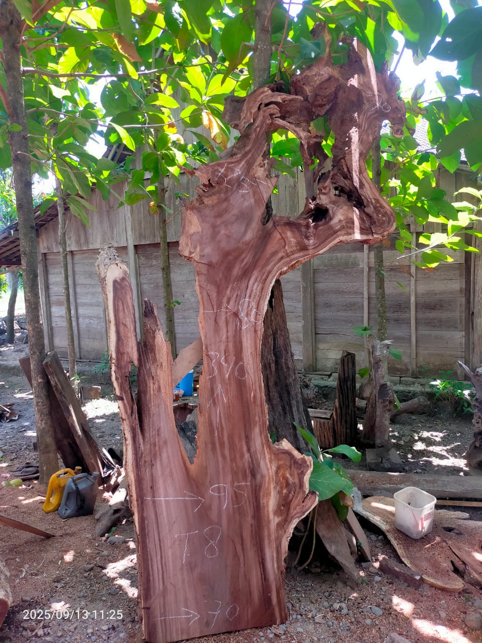 Дървена талпа от индунезийски Суар IS0027