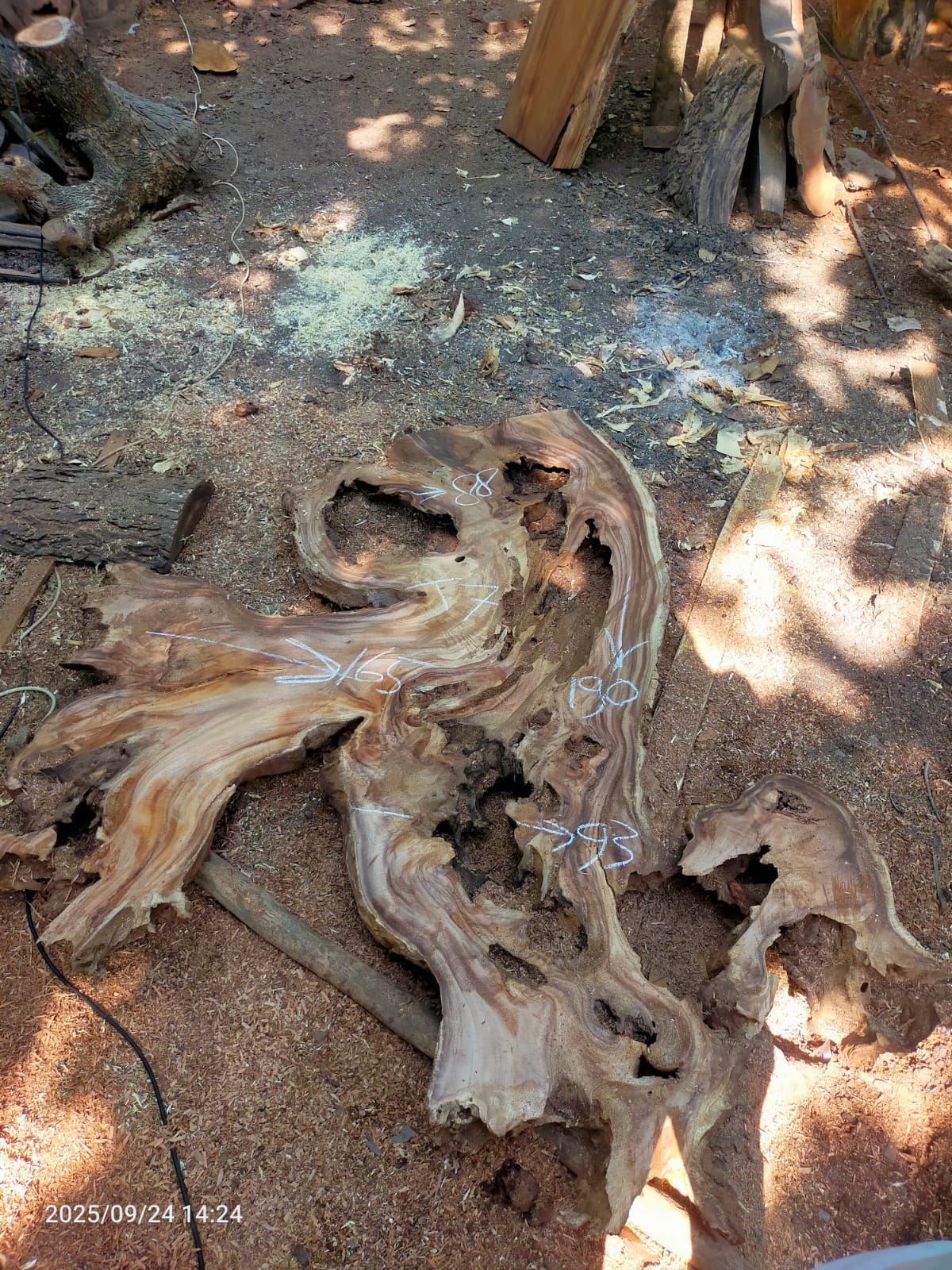 Дървена талпа от индунезийски Суар IS0020