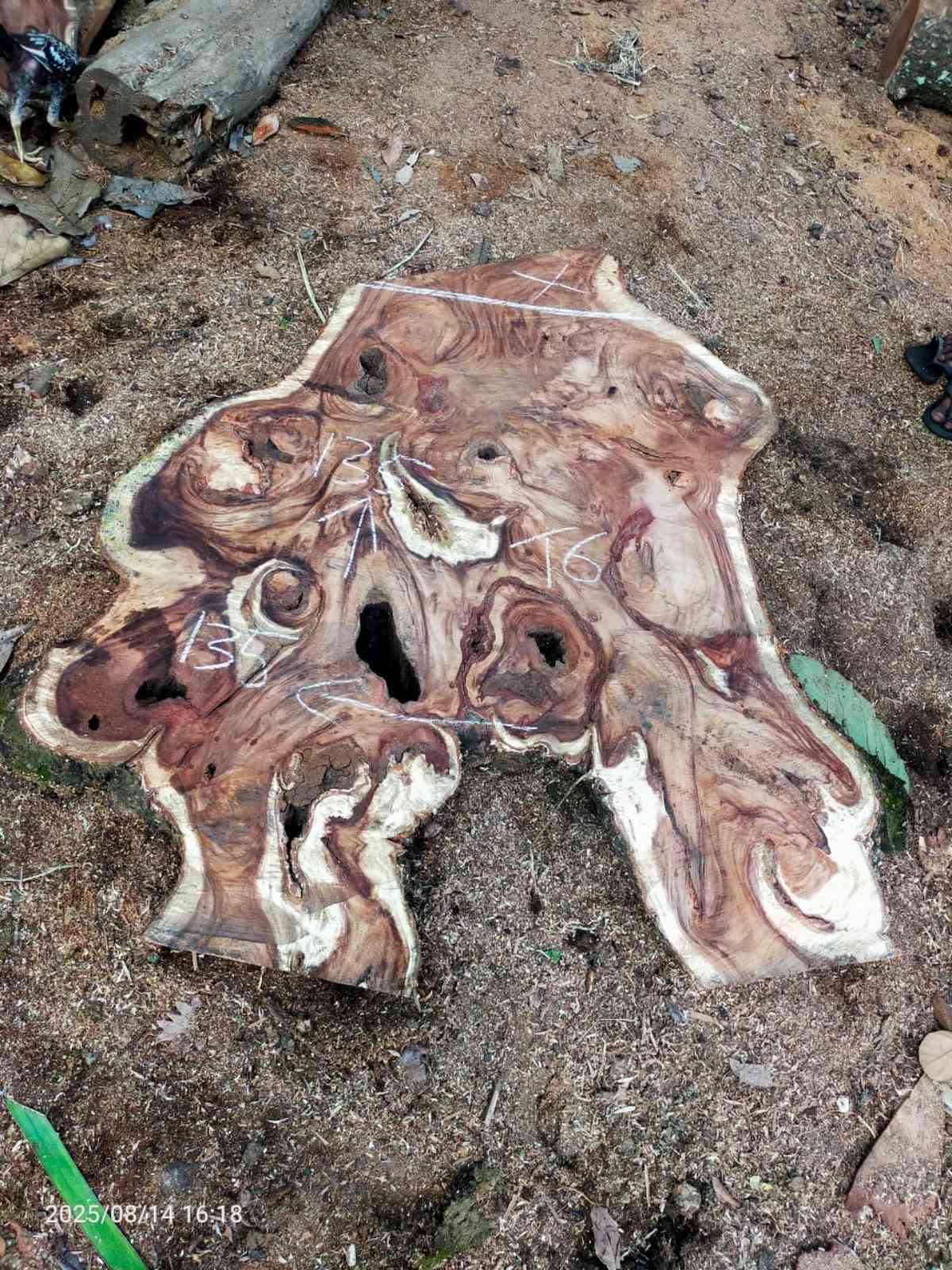 Дървена талпа от индунезийски Суар IS0013