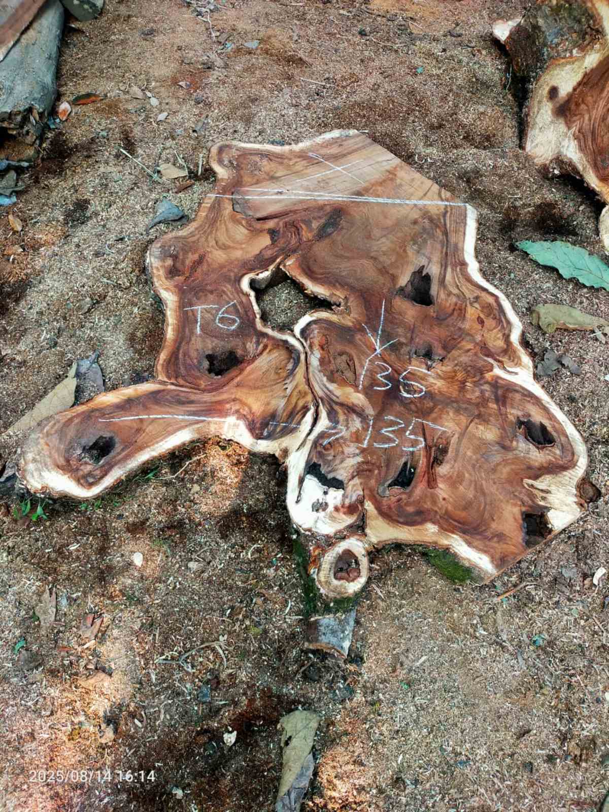 Дървена талпа от индунезийски Суар IS0014