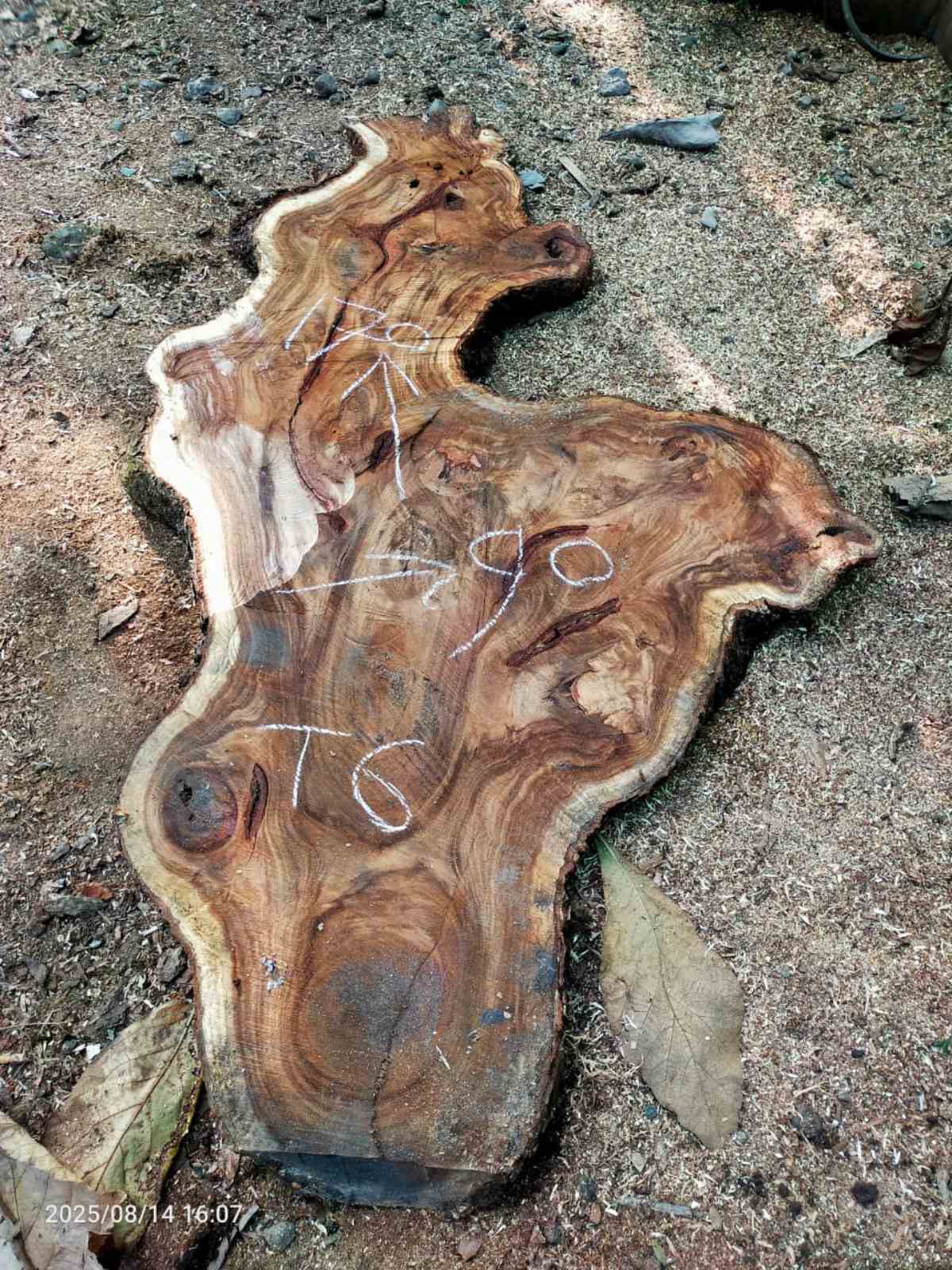 Дървена талпа от индунезийски Суар IS005