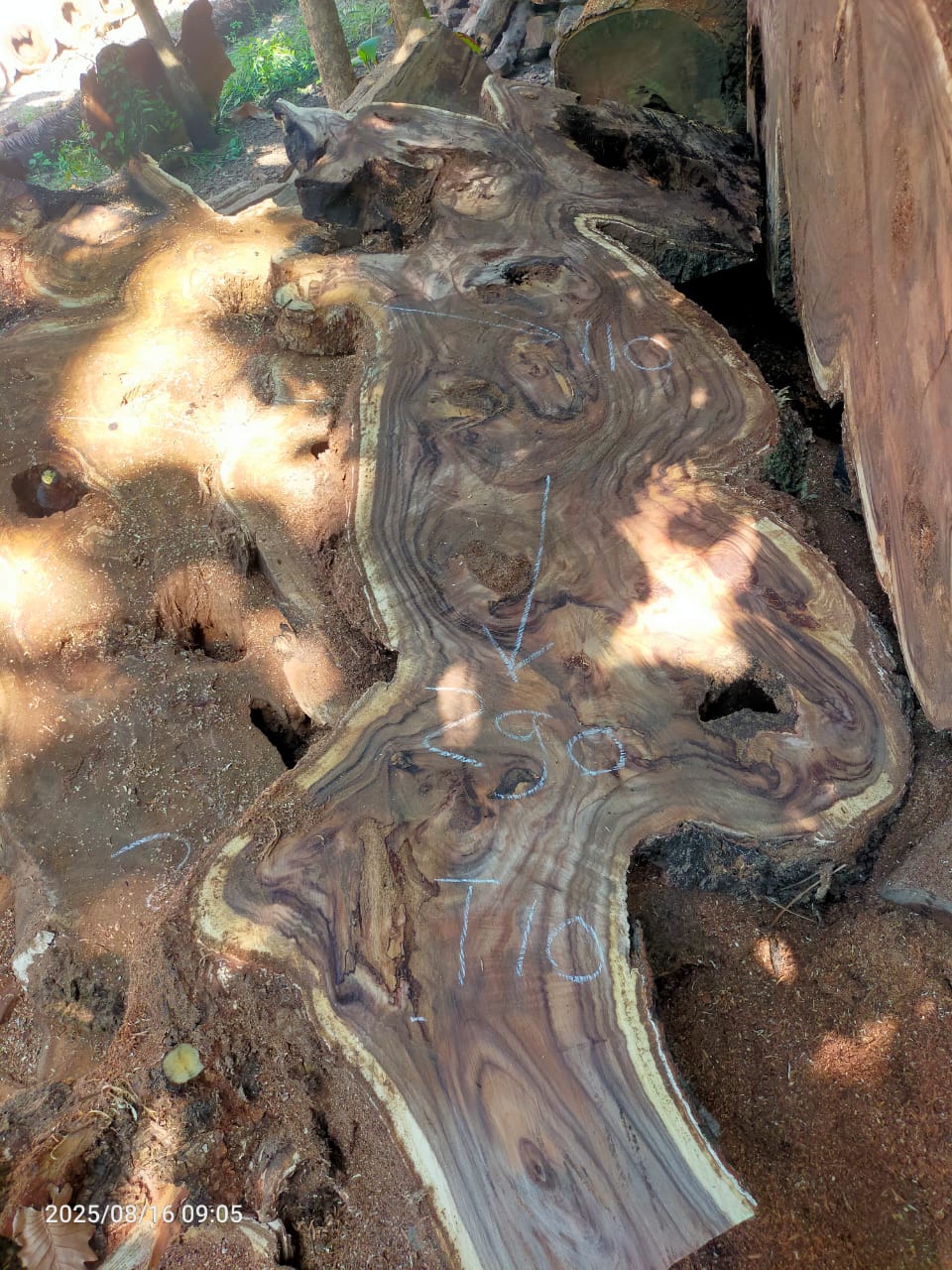 Дървена талпа от индунезийски Суар IS006