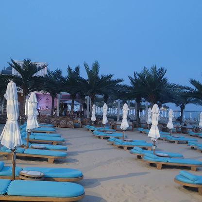 Luxury Beach Dolphin