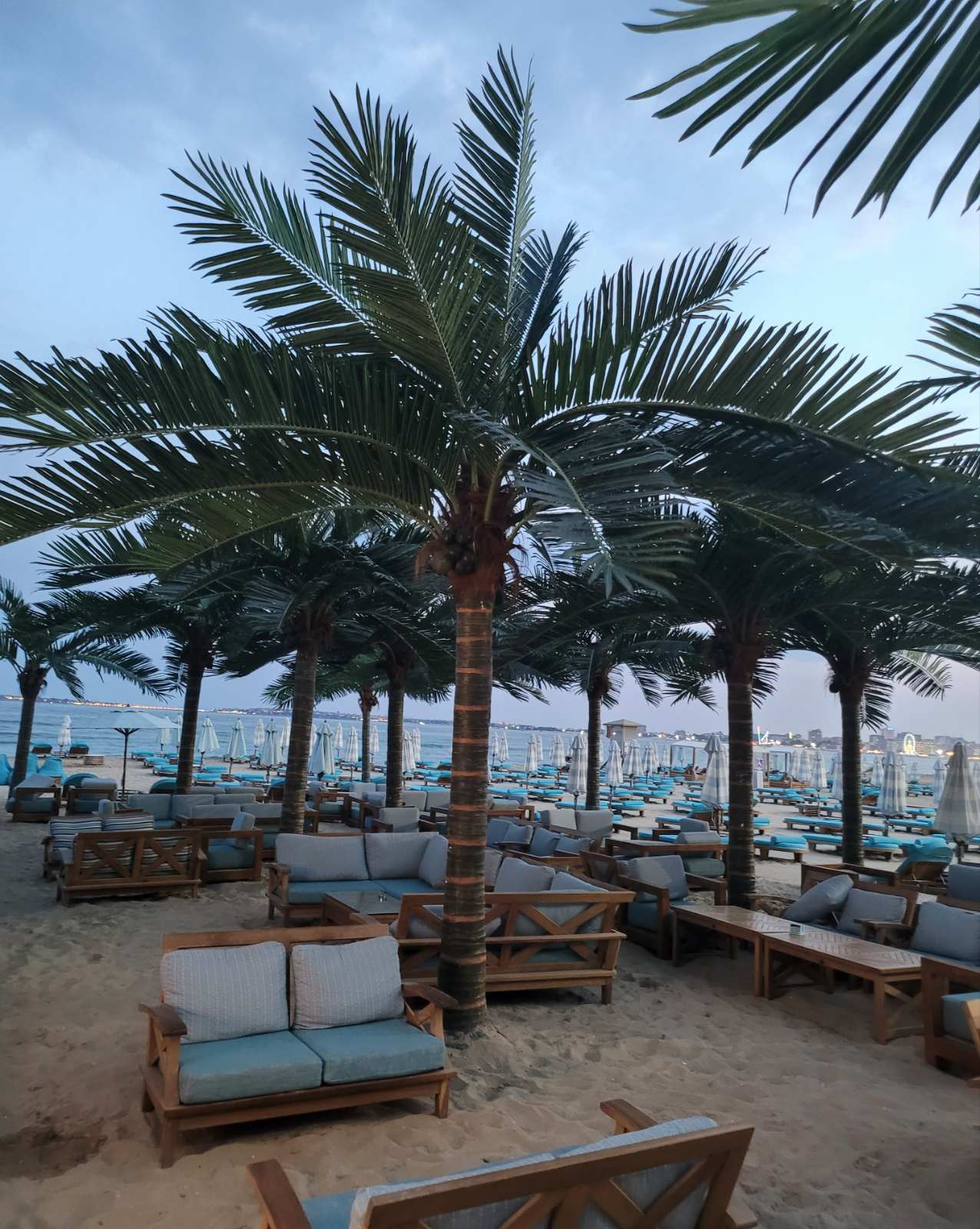 Luxury Beach Dolphin